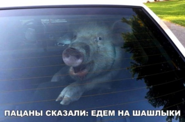 Полуэйфория «аспиранта» Вальцмана: на Западе обещают, дома грозятся убить. Владимир Скачко