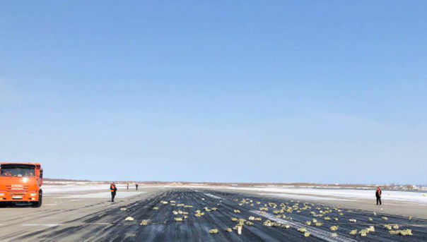 В Якутии началась "золотая лихорадка": Жители бросились на поиски упавших с неба золотых слитков