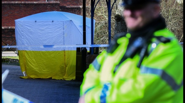 Ищите женщину: Семья Скрипаля назвала возможную виновницу инцидента с отравлением