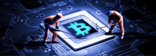 Майнинг ферма: какие нужны комплектующие, чтобы создать бюджетный вариант