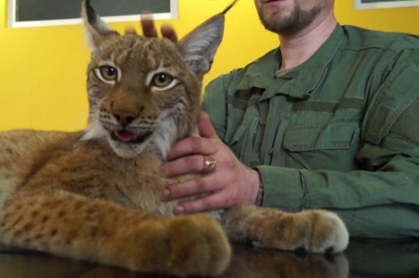 Донбасс укрофашистам не по зубам, а вот наши клыки их будут грызть насмерть. В батальоне "Пятнашка" появился пятнистый защитник
