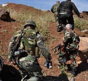 Командование сирийской армии заявило о военной операции на юге страны