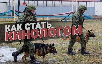 Как стать кинологом