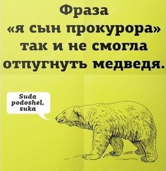 НовичЁк и фсе, фсе, фсе.