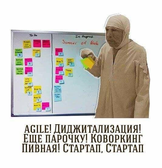 Ястребы, голуби и прочее от Вассермана.