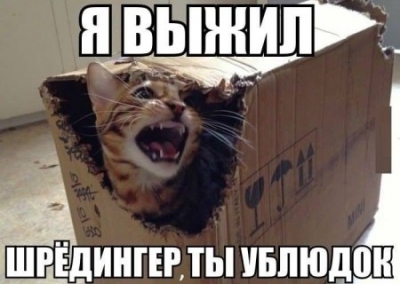 Гройсман и кот Шредингера. Александр Зубченко