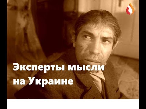 Эксперты мысли на Украине | Гарант счастья
