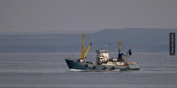 ФСБ: подозреваемые в захвате судна «Норд» объявлены в международный розыск