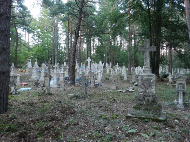 «Убирайтесь на Украину!». В Польше напали на восстанавливавших украинские памятники активистов