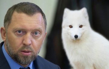 Акции "Русала" опустились до рекордного минимума