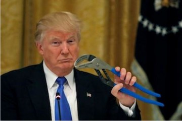 Мир успокоит Петербургский форум