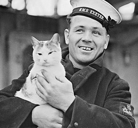 Коты, тельняшки и сигары: что лежит в основе флотских традиций?