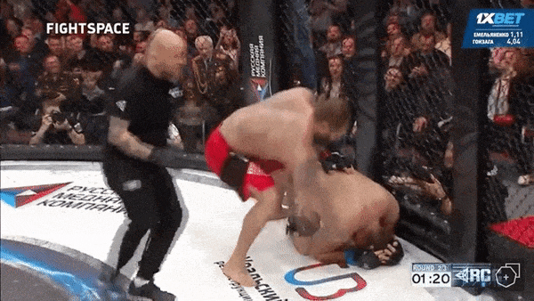 Емельяненко нокаутировал бразильца Гонзагу во втором раунде