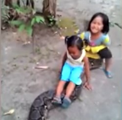 В Индонезии девочки прокатились верхом на питоне