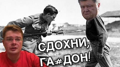Добробаты готовы повернуть штыки против Порошенко