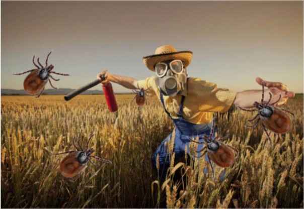 20 важных весенних фактов про клещей