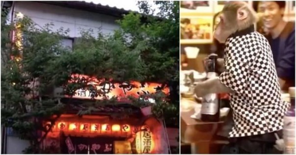 «Таверна Каябукия» – японский ресторан с необычными официантами