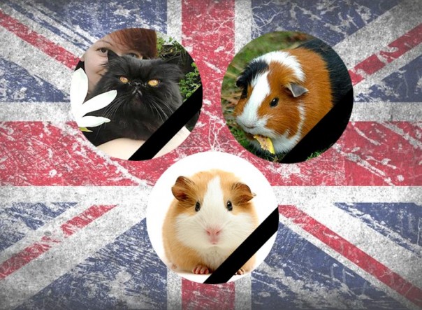 Юлия Скрипаль ответила на ложь Сергея Лаврова в СМИ