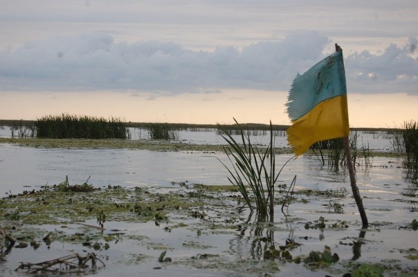 «Лечится в шестой палате»: Олейник осадил генпрокурора Украины за подозрения РФ в организации теракта