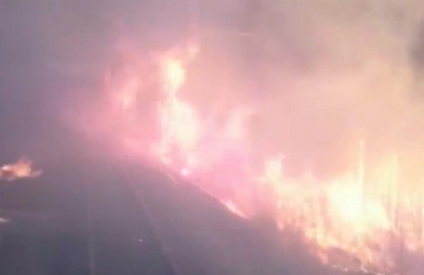 В Хабаровском крае поезд проехал через горящий лес