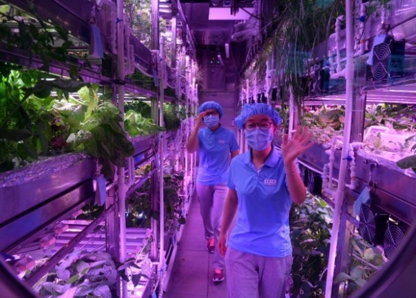 В Китае завершился 370-дневный эксперимент по имитации жизни на лунной базе