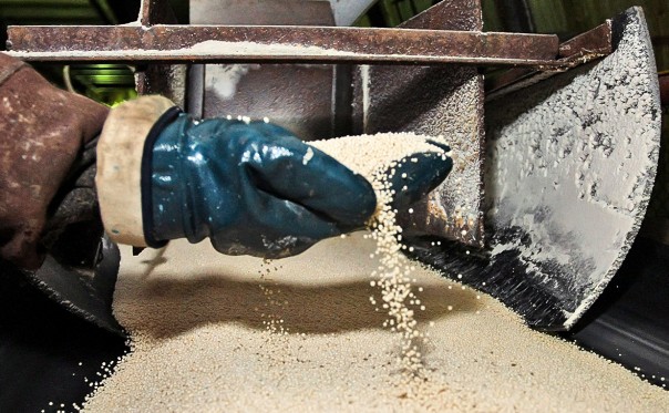 Украинские СМИ узнали о проигрыше Киевом спора с Москвой в ВТО