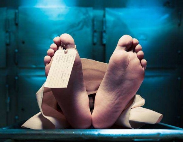 Трупы в украинских моргах разлагаются, ждут решений судов и нового законопроекта