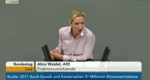 Немецкий политик: Идиоты управляют Германией!