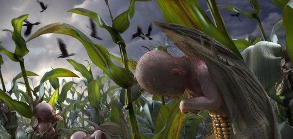 Экономические рабы, или как Украина раздает земли западным ТНК