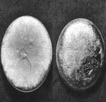 В США украли оружейный плутоний