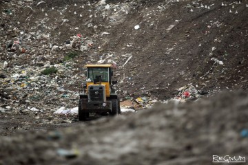 Волоколамск v.2: из-за любовного помешательства Жигилея Ленобласти угрожает экокатастрофа