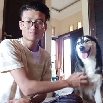 Еще 10 месяцев назад эта хаски была похожа на скелет, но ее удалось спасти!