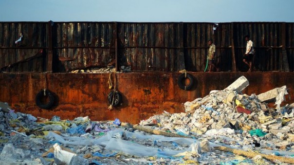 ООН планирует выступить с требованием полного запрета токсичных для почвы изделий в целях сохранения экологии.