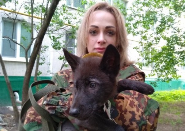 Александру Захарченко вручили подарок от комбата Мамая - волчонка Алана