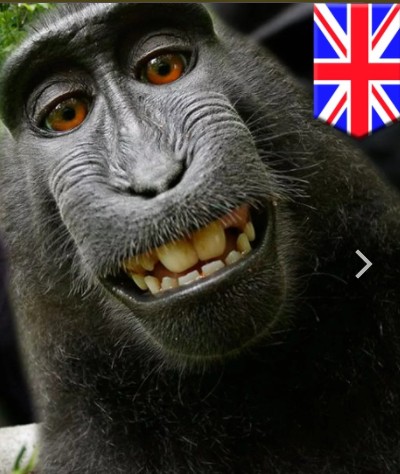 Английские фанаты устроили набег на ИКЕА после победы над Швецией