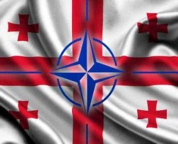 Грузия и НАТО: если вспыхнет конфликт, вступать будет некому и некуда