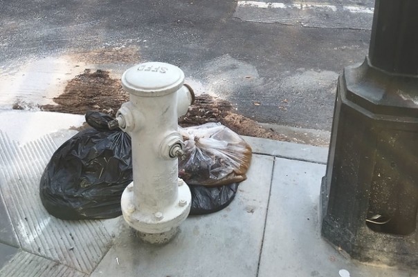 О дивный новый мир: десятикилограммовые кучи дерьма на улицах Сан-Франциско