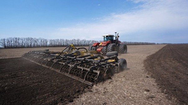 Последний ресурс Украины: между рынком и хаосом. Андрей Бабицкий