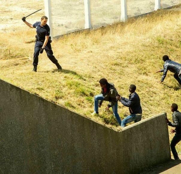 «Вот почему мигранты хозяйничают в ЕС» - иностранцы о сравнении полиции Франции и России