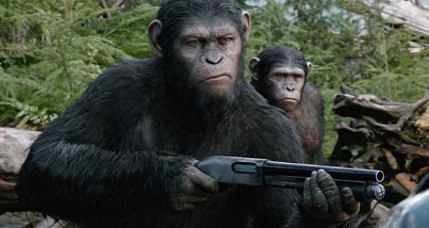 Бабуин — мера всех вещей