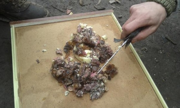 В Киеве в воинской части обнаружили 176 тонн непригодной тушенки