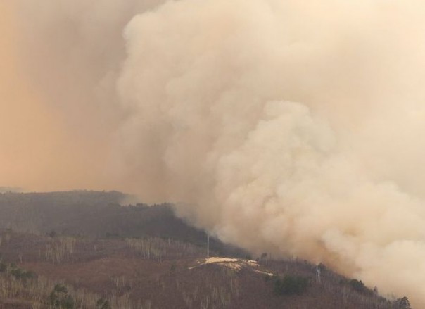 Лесные пожары в Греции унесли жизни 50 человек