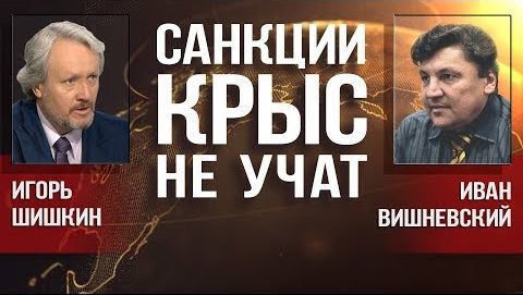 И. Шишкин, И. Вишневский. Стратегический курс прозападной власти полностью провалился