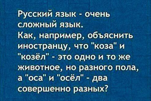 Русский язык: взрыв мозга для иностранцев + 44 страшилки русской грамматики