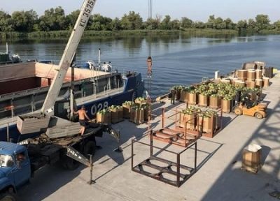 Арбузопэрэмога: «Пливуть кавуни» из Херсонской области в Киев