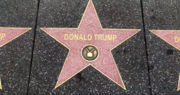 На Аллее славы в Голливуде появилось 50 звёзд Трампа
