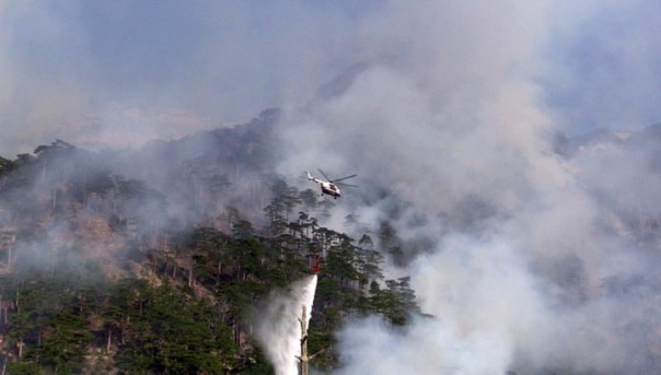 В Крыму продолжают бороться с огнем в заповедной зоне возле Ялты.