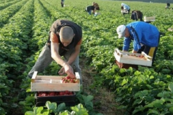 Из-за нехватки денег на лечение в Польше повесился заробитчанин