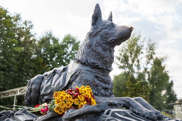 В бой идут одни четвероногие. День фронтовой собаки отметили в Музее Победы