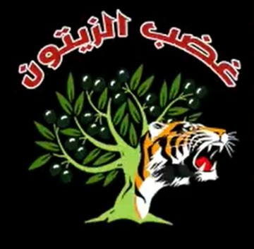 "Оливковый гнев" в Африне: за 48 часов убито 7 протурецких боевиков